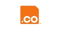 co uk uzantısı